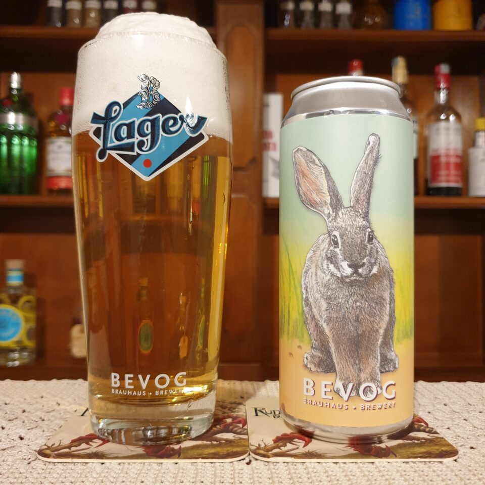 Recensione Review Bevog Riverine Rabbit