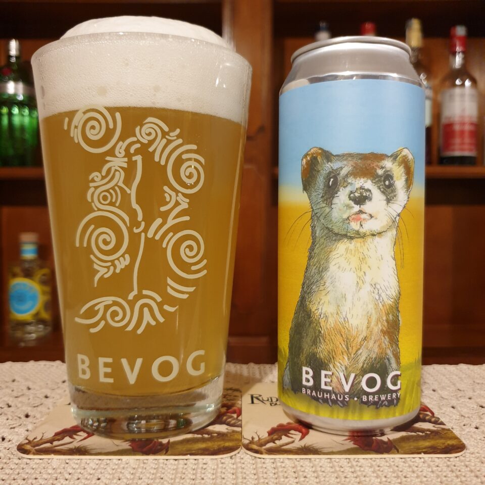 Recensione Review Bevog Blackfooted Ferret