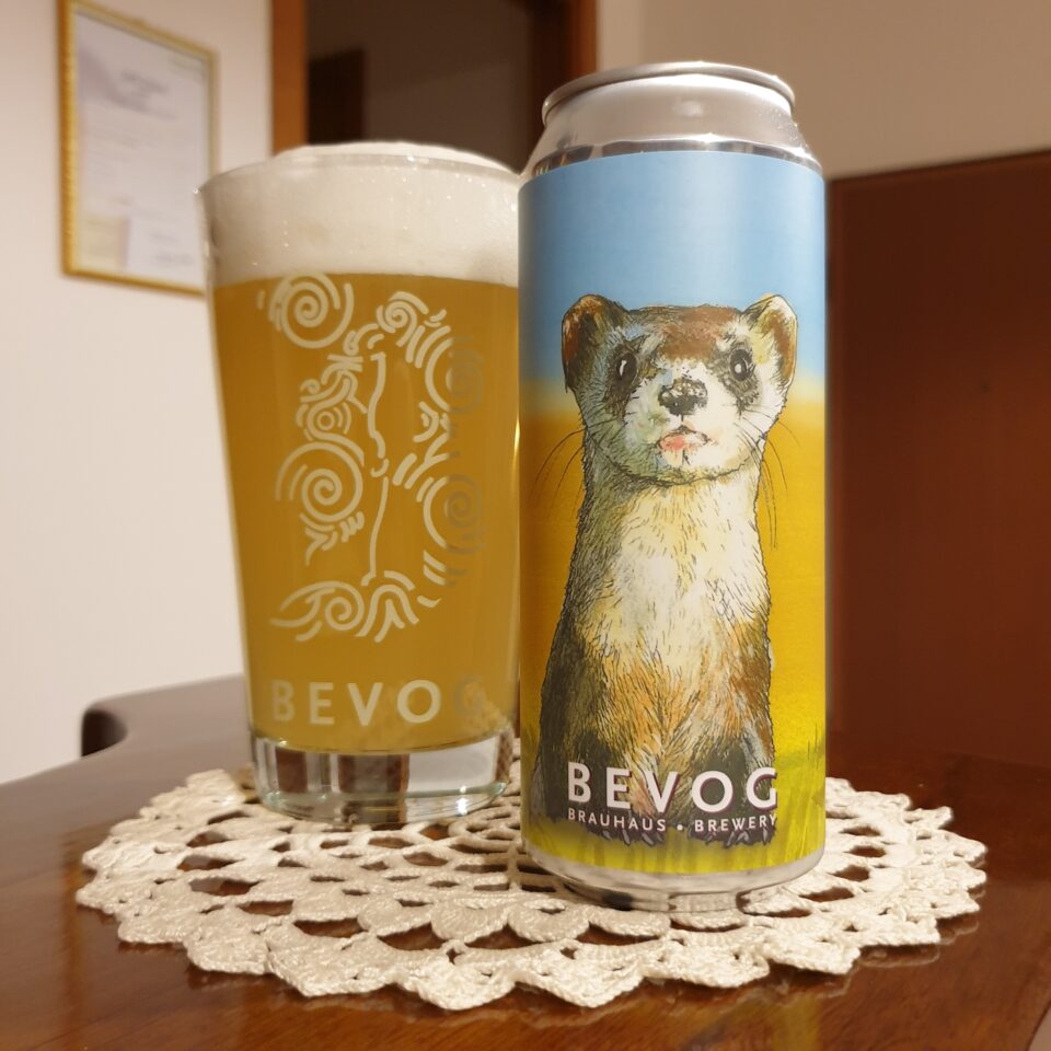 Recensione Review Bevog Blackfooted Ferret