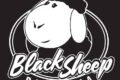 BIRROVAGANDO A CANTÙ (CO): BLACK SHEEP BIRRERIA