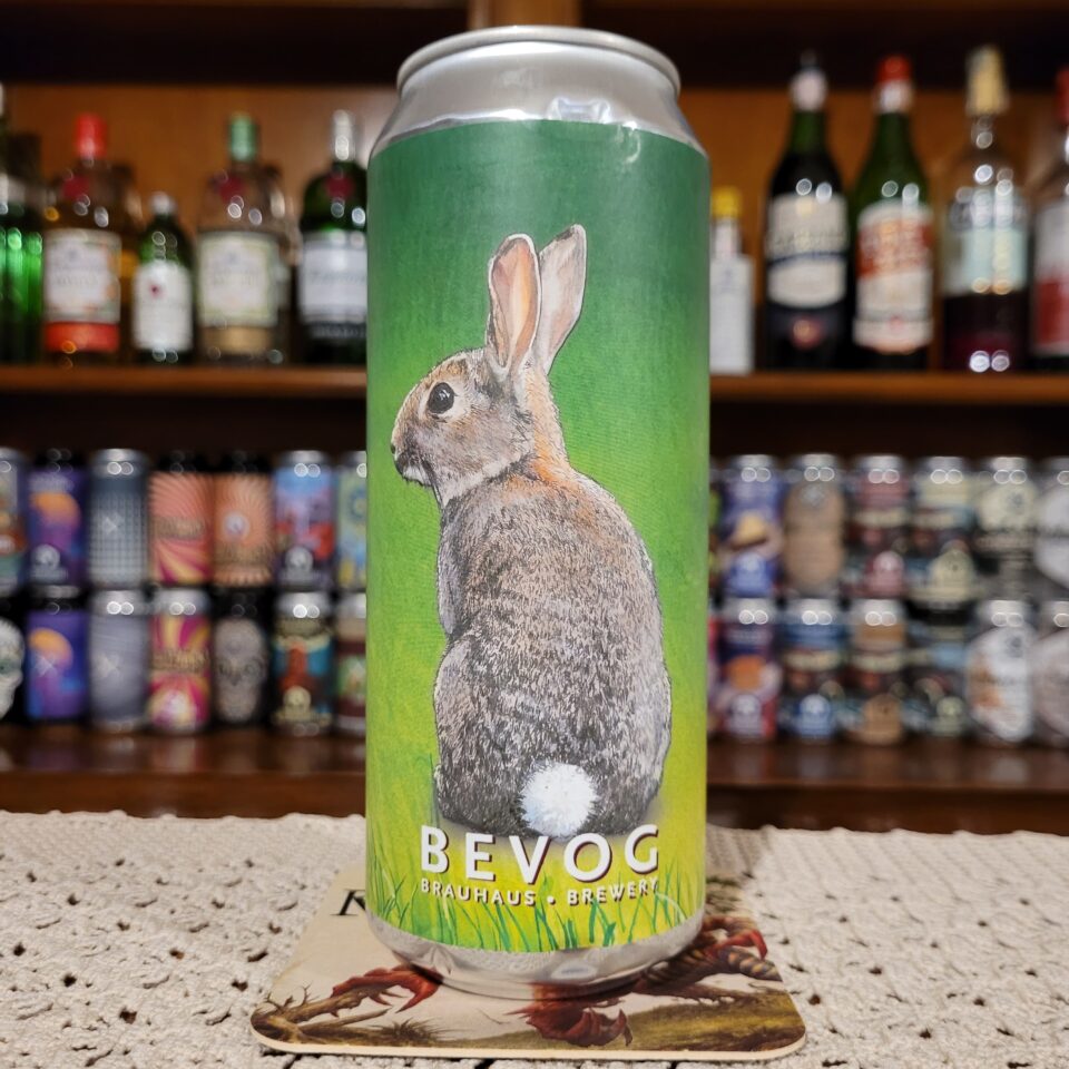 Recensione Review Bevog New England Cottontail