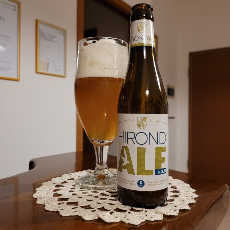 Recensione Review Dupont Hirond' Ale #3.0
